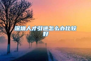 深圳人才引进怎么办比较好