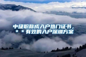 中级职称成入户热门证书，＊＊有效的入户深圳方案