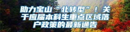 助力宝山“北转型”！关于应届本科生重点区域落户政策的最新通告