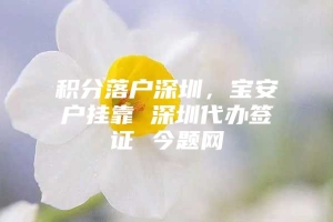 积分落户深圳，宝安户挂靠 深圳代办签证 今题网