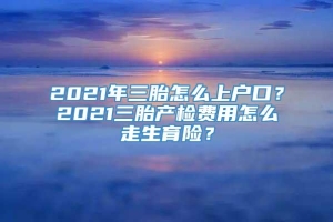 2021年三胎怎么上户口？2021三胎产检费用怎么走生育险？