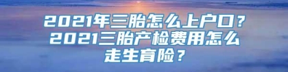 2021年三胎怎么上户口？2021三胎产检费用怎么走生育险？