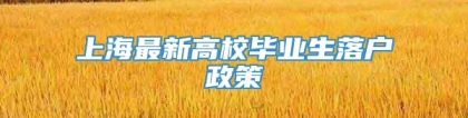 上海最新高校毕业生落户政策