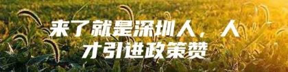 来了就是深圳人，人才引进政策赞