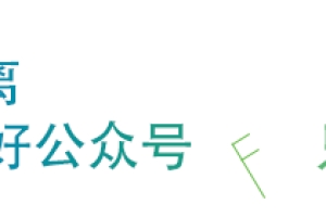 上海官宣！全球50强大学毕业生可直接落户