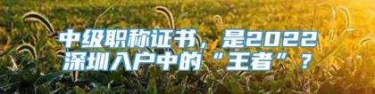 中级职称证书，是2022深圳入户中的“王者”？