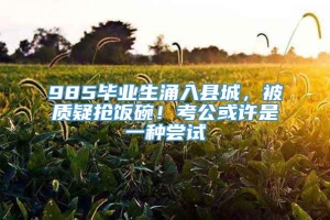 985毕业生涌入县城，被质疑抢饭碗！考公或许是一种尝试