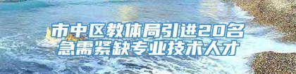 市中区教体局引进20名急需紧缺专业技术人才