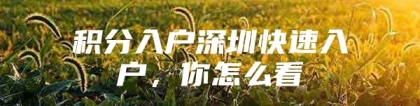 积分入户深圳快速入户，你怎么看