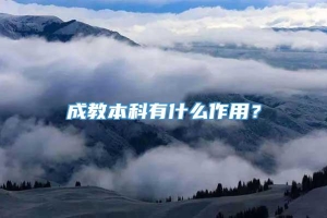 成教本科有什么作用？