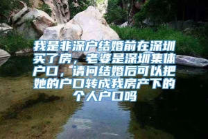 我是非深户结婚前在深圳买了房，老婆是深圳集体户口，请问结婚后可以把她的户口转成我房产下的个人户口吗