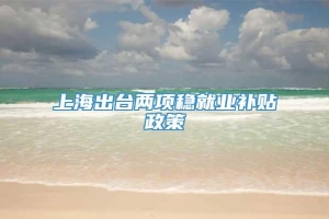 上海出台两项稳就业补贴政策