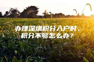 办理深圳积分入户时，积分不够怎么办？