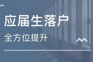 2022年深圳人才引进政策补贴,2022年深圳户籍