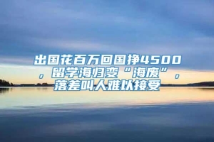 出国花百万回国挣4500，留学海归变“海废”，落差叫人难以接受