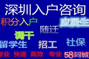 2022年深圳市人才引进政策2022