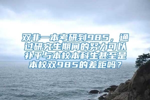 双非一本考研到985，通过研究生期间的努力可以补平与本校本科生甚至是本校双985的差距吗？