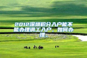 2012深圳积分入户能不能办理调工入户，如何办理。