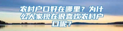 农村户口好在哪里？为什么大家现在很喜欢农村户口呢？