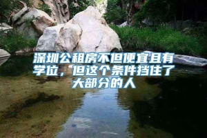 深圳公租房不但便宜且有学位，但这个条件挡住了大部分的人