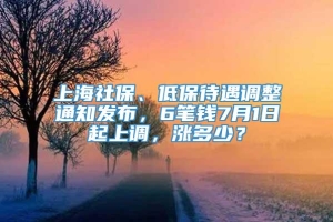 上海社保、低保待遇调整通知发布，6笔钱7月1日起上调，涨多少？