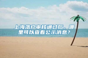 上海落户审核通过后，哪里可以查看公示消息？