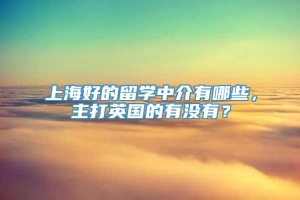 上海好的留学中介有哪些，主打英国的有没有？