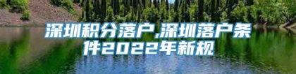 深圳积分落户,深圳落户条件2022年新规