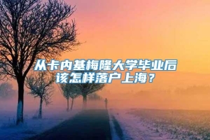 从卡内基梅隆大学毕业后该怎样落户上海？