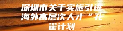 深圳市关于实施引进海外高层次人才“孔雀计划