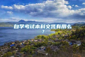 自学考试本科文凭有用么？