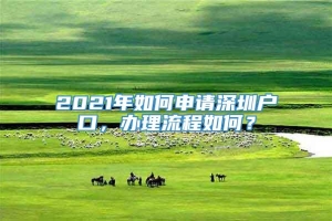 2021年如何申请深圳户口，办理流程如何？