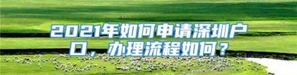 2021年如何申请深圳户口，办理流程如何？