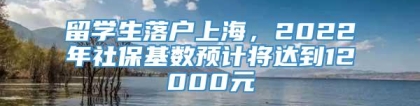 留学生落户上海，2022年社保基数预计将达到12000元