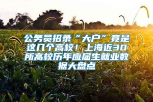 公务员招录“大户”竟是这几个高校！上海近30所高校历年应届生就业数据大盘点