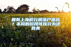 拥有上海积分跟落户难吗？不同的阶段可以分为这四类