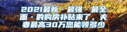 2021最新·最强·最全面·的购房补贴来了，夫妻最高30万您能领多少