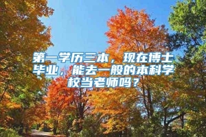 第一学历三本，现在博士毕业，能去一般的本科学校当老师吗？