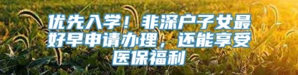 优先入学！非深户子女最好早申请办理，还能享受医保福利