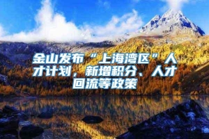 金山发布“上海湾区”人才计划，新增积分、人才回流等政策