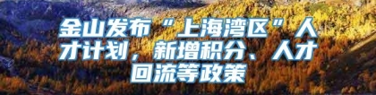 金山发布“上海湾区”人才计划，新增积分、人才回流等政策