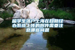 留学生落户上海在自助经办系统上传的附件需要注意哪些问题