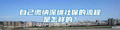 自己缴纳深圳社保的流程是怎样的？