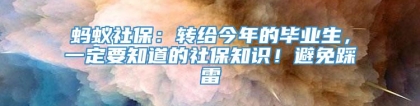 蚂蚁社保：转给今年的毕业生，一定要知道的社保知识！避免踩雷