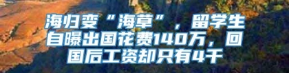海归变“海草”，留学生自曝出国花费140万，回国后工资却只有4千
