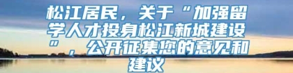 松江居民，关于“加强留学人才投身松江新城建设”，公开征集您的意见和建议→