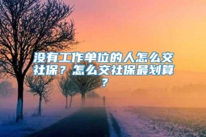 没有工作单位的人怎么交社保？怎么交社保最划算？