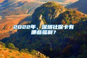 2022年，深圳社保卡有哪些福利？