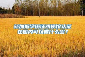 新加坡学历证明使馆认证在国内可以做什么呢？