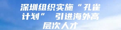 深圳组织实施“孔雀计划” 引进海外高层次人才